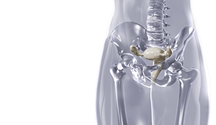 biolitec key visual for gynecology shows a women's body with the ovary highlighted in white